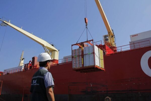 Cerezas y fruta fresca chilena lista para exportacion al mercado chino
