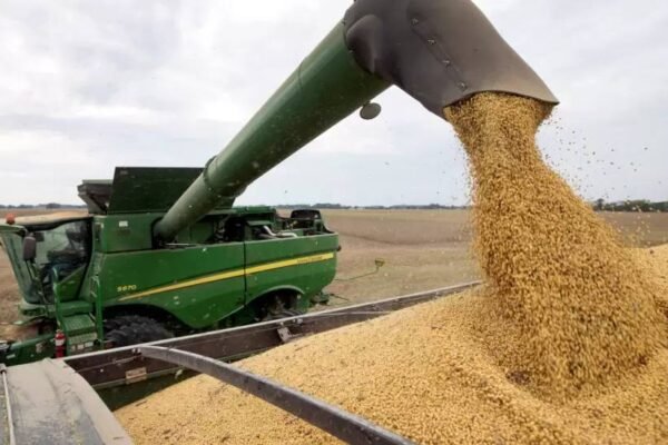 Tractores y maquinaria agrícola de origen chino en un campo argentino